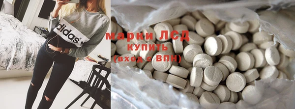 мяу мяу мука Аркадак
