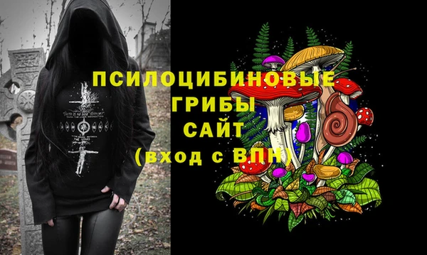 сатива Армянск