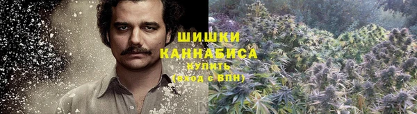 сатива Армянск