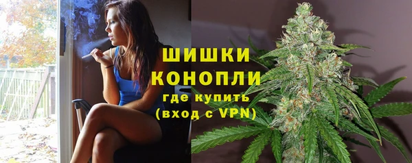 сатива Армянск