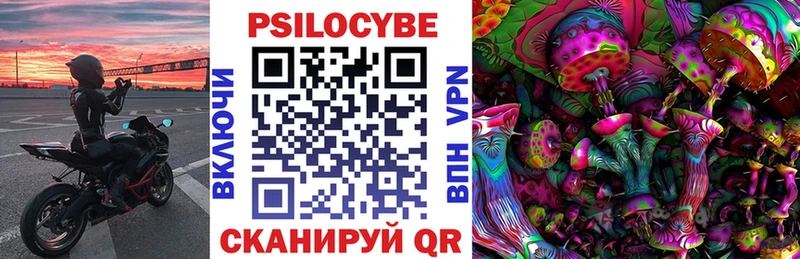 купить наркоту  hydra как войти  Псилоцибиновые грибы GOLDEN TEACHER  Нязепетровск 
